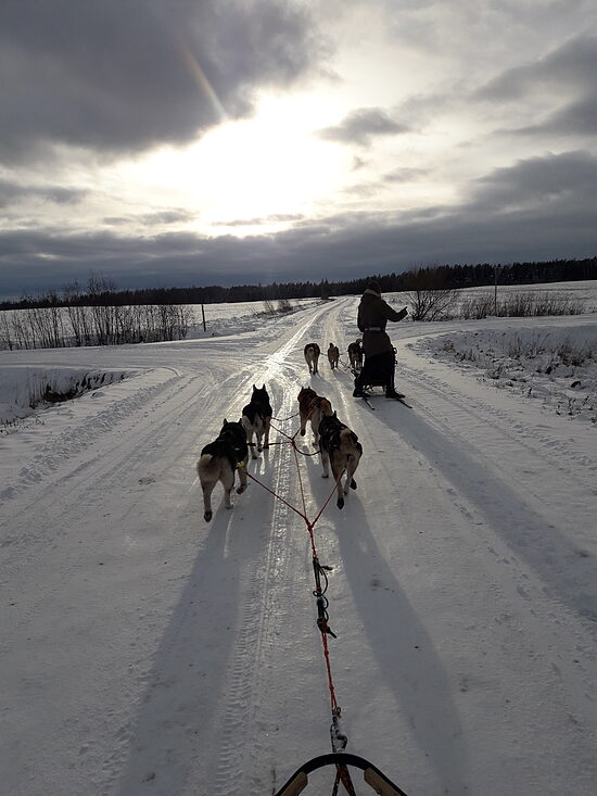 Haskiju tūres rezervācija/Husky tour reservations Winter